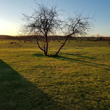 호텔 Pathes Hof 2*